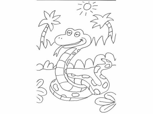 Desenhos de cobra para colorir - Blog Ana Giovanna
